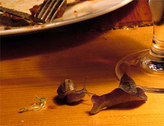 snail dinner