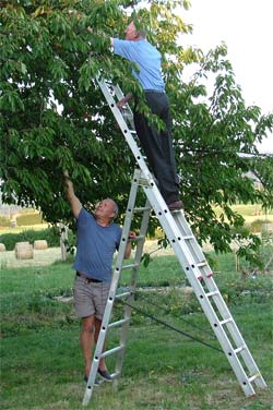 oom paul op bezoek