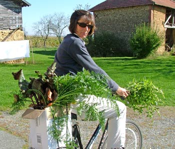 bike veg