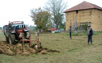 the new vegetable garden