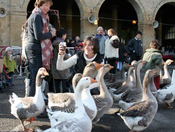 Carolina et the christmas market in trie-sur-baise