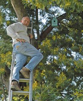 hanging the birdbox