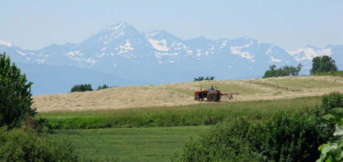 the pyrenees from our bedroom window