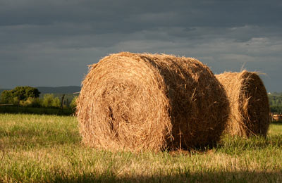 hay rolls in the sunset