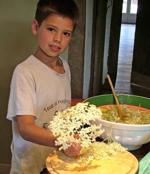 damien and the elderflower syrup