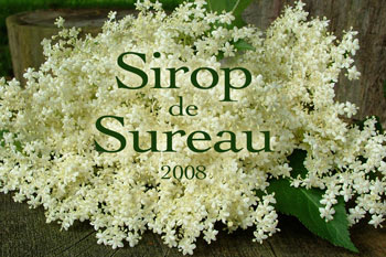 sirop de sureau